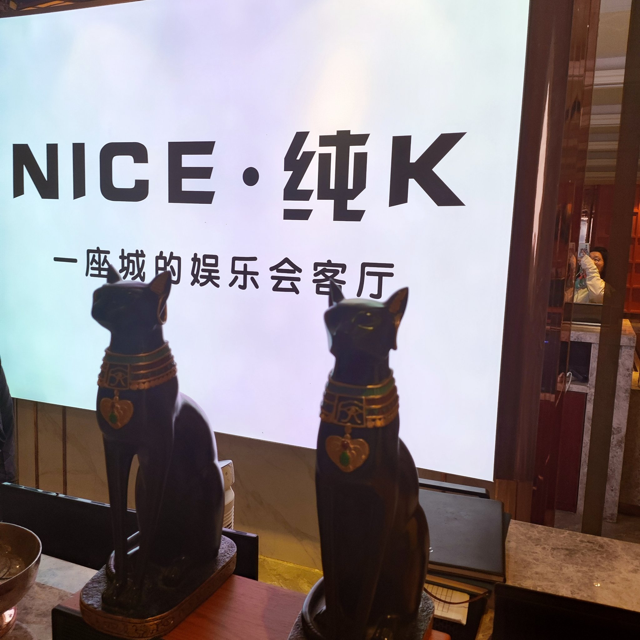 宜昌商务ktv价格一览-点军区ktv预定